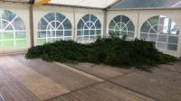 IMG-20170629-WA0002