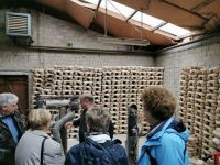 IMG_20191012_135533_resized_20191012_052942340