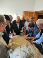 IMG_20191012_144255_resized_20191012_052941047